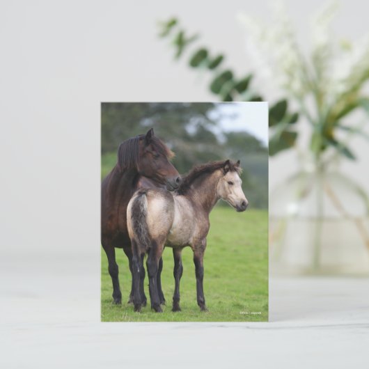 Welsh Section D Mare and Foal Stehend Postkarte (Stehend Vorderseite)