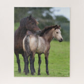 Welsh Section D Mare and Foal Stehend Puzzle (Vertikal)