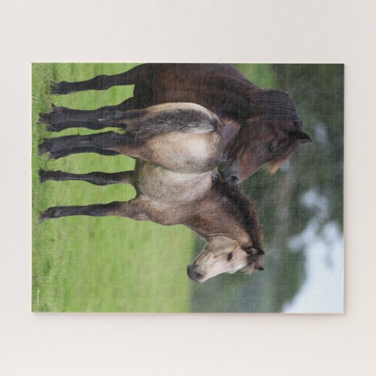 Welsh Section D Mare and Foal Stehend Puzzle (Horizontal)