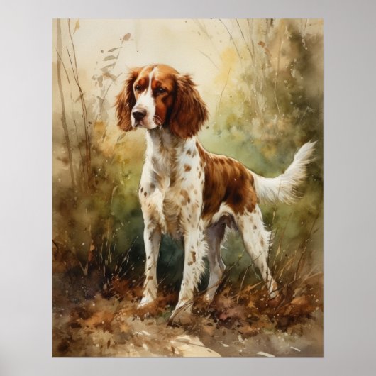 Welsh Springer Spaniel Dog Art Print Poster (Vorne)