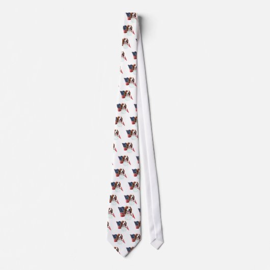 Welsh Springer Spaniel Flag Krawatte (Vorderseite)