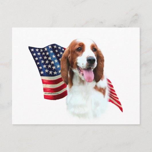 Welsh Springer Spaniel Flag Postkarte (Vorderseite)