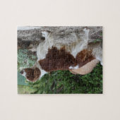 Welsh_Springer_Spaniel_full.png Puzzle (Horizontal)