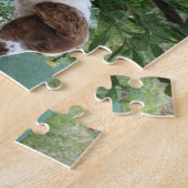 Welsh_Springer_Spaniel_full.png Puzzle (Seite)