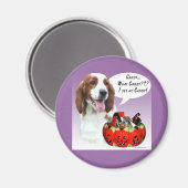 Welsh Springer Spaniel Halloween Candy Magnet (Vorderseite/Rückseite)