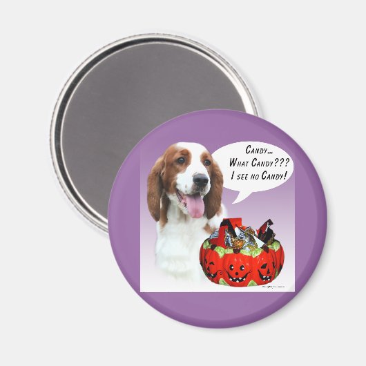 Welsh Springer Spaniel Halloween Candy Magnet (Vorderseite/Rückseite)