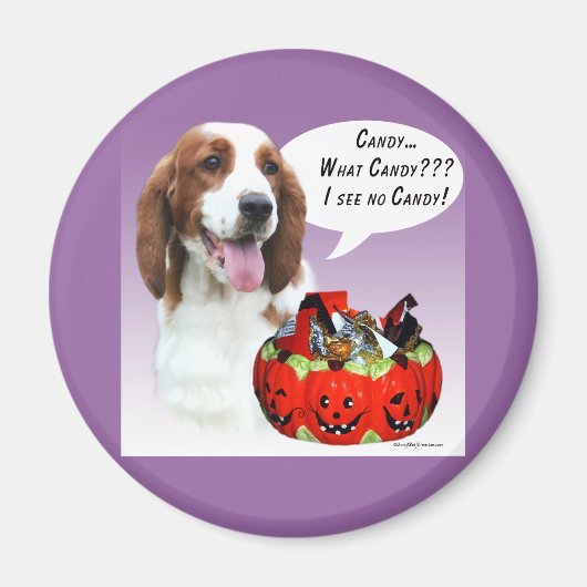 Welsh Springer Spaniel Halloween Candy Magnet (Vorne)