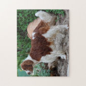 Welsh Springer Spaniel Hund Jigsaws. Puzzle (Vertikal)