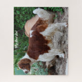 Welsh Springer Spaniel Hund Jigsaws. Puzzle (Vertikal)