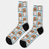 Welsh Springer Spaniel Malerei Original Dog Art Socken (Linkes Detail)