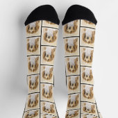 Welsh Springer Spaniel Malerei Original Dog Art Socken (Oben)