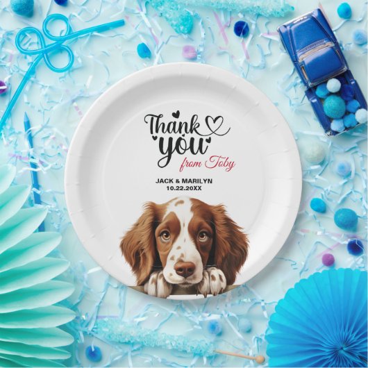 Welsh Springer Spaniel Pappteller (Party)