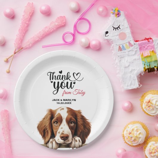 Welsh Springer Spaniel Pappteller (Party)