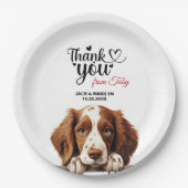 Welsh Springer Spaniel Pappteller (Vorderseite)