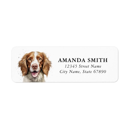 Welsh Springer Spaniel Rücksendeadressen-Aufkleber (Vorne)
