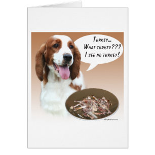 Welsh Springer Spaniel Türkei