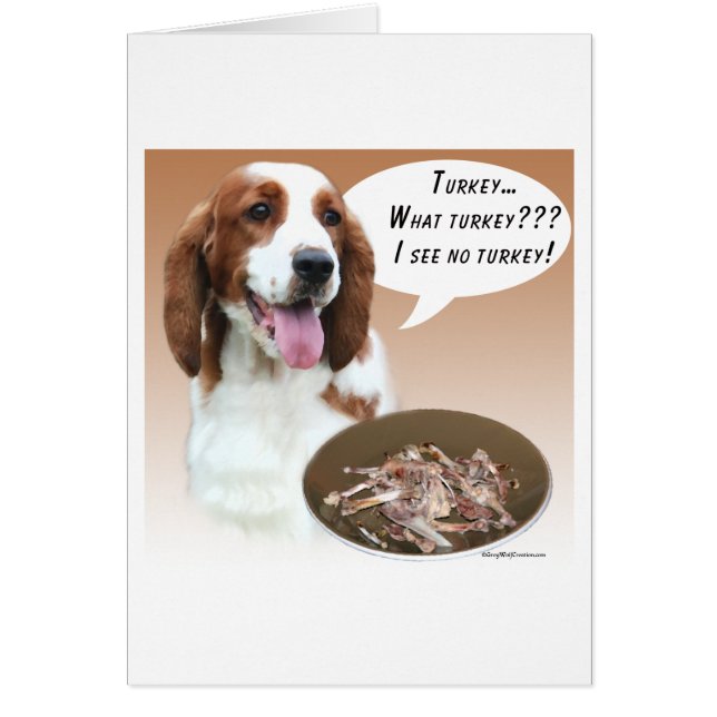 Welsh Springer Spaniel Türkei (Vorne)