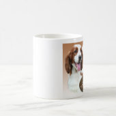 Welsh Springer Spaniel Türkei Kaffeetasse (Mittel)