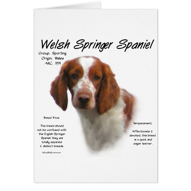 Welsh Springer Spanisch History Design (Vorne)
