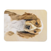 Welsh Springer Spanischmalerei - Original Dog Art Magnet (Horizontal)