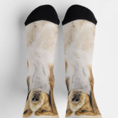 Welsh Springer Spanischmalerei - Original Dog Art Socken (Oben)