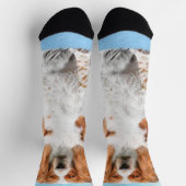 Welsh Springer Spanischmalerei - Original Dog Art Socken (Oben)