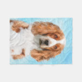 Welsh Springer Spanischmalerei - Original Hund Kun Fleecedecke (Vorderseite (Horizontal))
