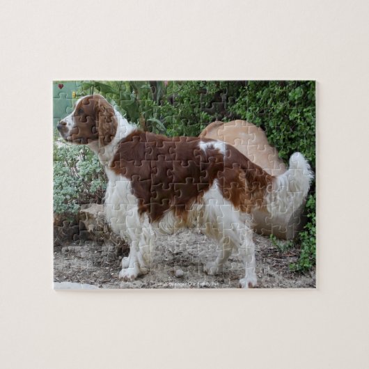 Welsh Springer unser Haustier Puzzle (Horizontal)