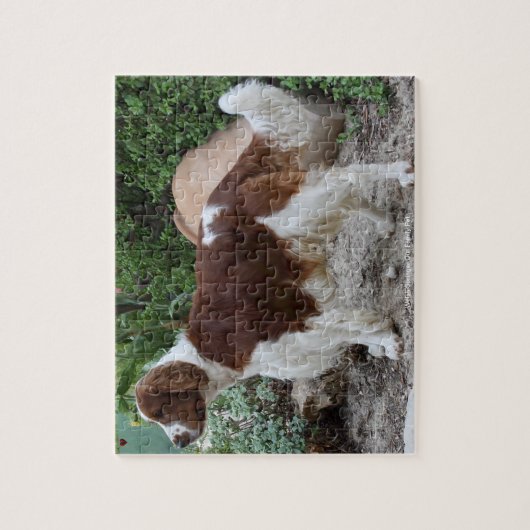 Welsh Springer unser Haustier Puzzle (Vertikal)