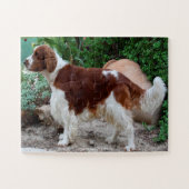 Welsh Springer unser Haustier Puzzle (Horizontal)