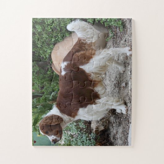 Welsh Springer unser Haustier Puzzle (Vertikal)