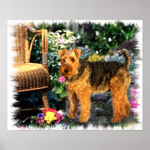 Welsh Terrier Art Print Poster