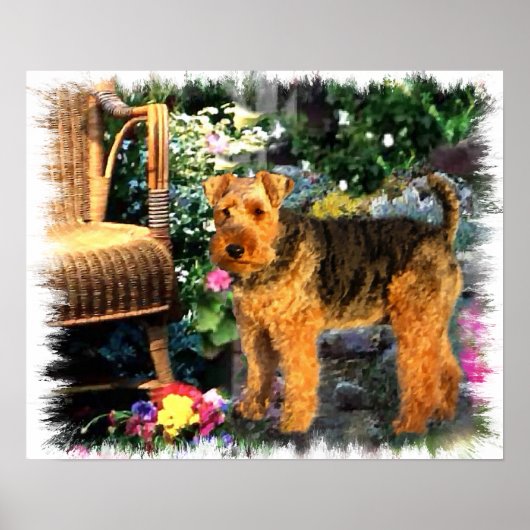 Welsh Terrier Art Print Poster (Vorne)