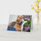Welsh Terrier Birthday Karte (Gelbe Blume)
