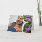 Welsh Terrier Birthday Karte (Vorderseite)