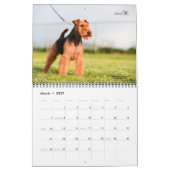 Welsh Terrier Calendar Kalender (Mär 2027)