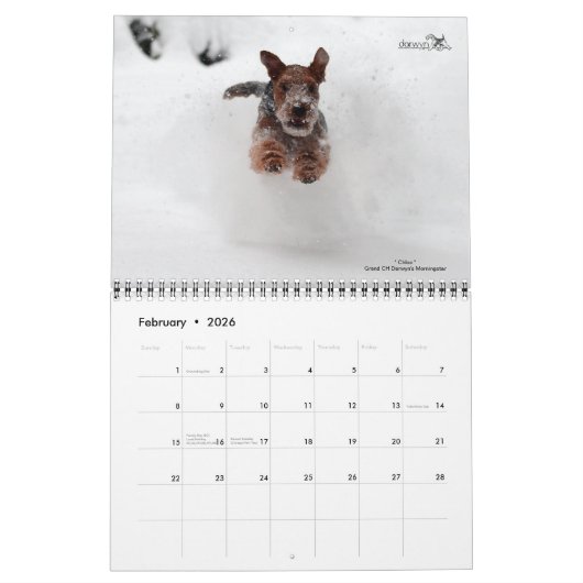 Welsh Terrier Calendar Kalender (Feb 2026)