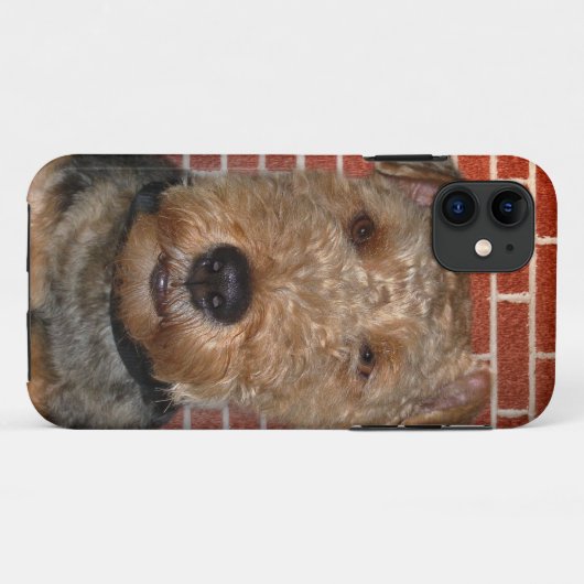Welsh Terrier Case-Mate iPhone Hülle (Rückseite (Horizontal))
