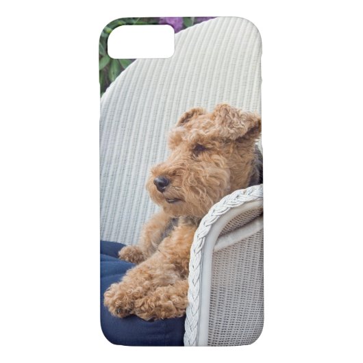 Welsh Terrier Case-Mate iPhone Hülle (Rückseite)