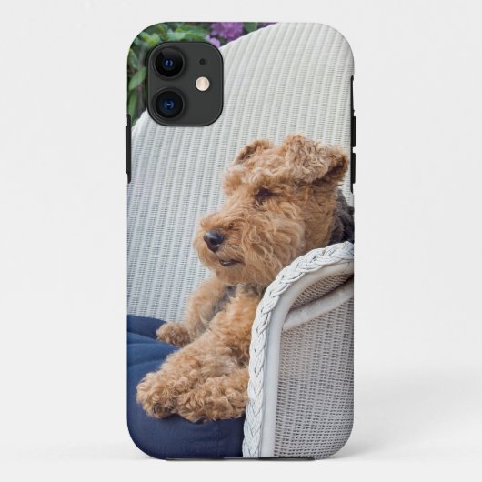 Welsh Terrier Case-Mate iPhone Hülle (Rückseite)