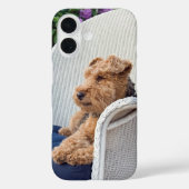 Welsh Terrier Case-Mate iPhone Hülle (Rückseite)
