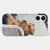 Welsh Terrier Case-Mate iPhone Hülle (Rückseite (Horizontal))