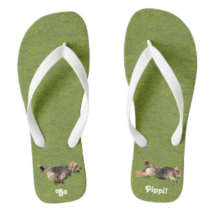 Welsh Terrier Flip Flops laufen Badesandalen