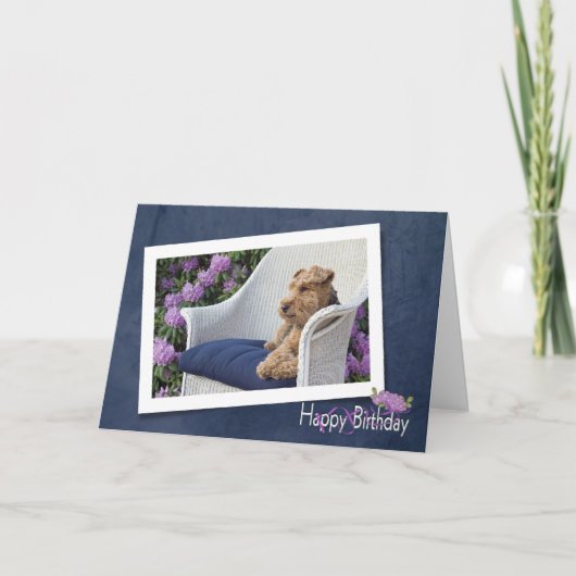 Welsh Terrier Geburtstag Karte (Vorderseite)