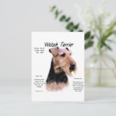 Welsh Terrier History; Über walisische Terrier Postkarte (Stehend Vorderseite)