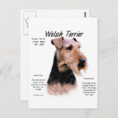 Welsh Terrier History; Über walisische Terrier Postkarte (Vorne/Hinten)
