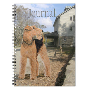 Welsh Terrier im Hof des Stalls Notizblock