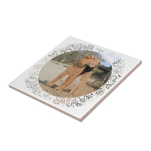 Welsh Terrier im Stabile Yard Fliese (Seite)