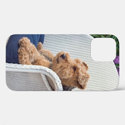 Welsh Terrier im Wicker-Vorsitz Case-Mate iPhone Hülle (Rückseite (Horizontal))