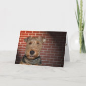 Welsh Terrier Karte (Vorderseite)